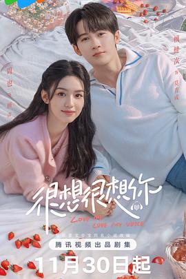 很想很想你第4集