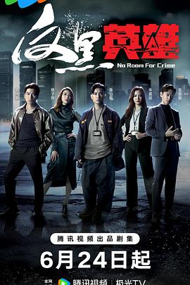 反黑英雄国语第21集