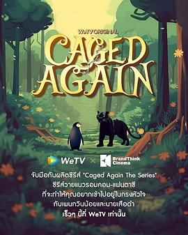 再次被关第01集