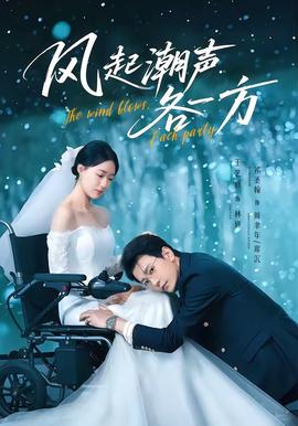 风起潮声各一方(全集)