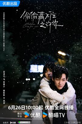 偷偷藏不住之许你第12集